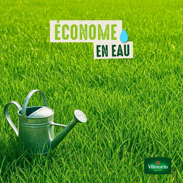 Vert toutes saisons - Pelouse verte toutes saisons - 1 kg - image